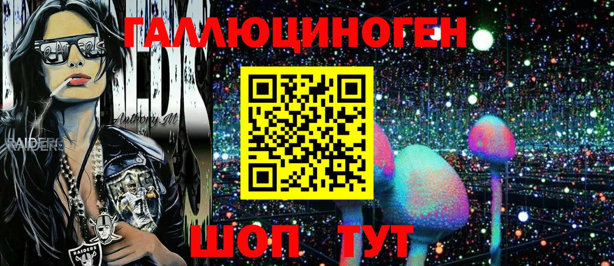 Апрелевка  что такое наркотик  Вход с VPN  Псилоцибиновые грибы Psilocybe 